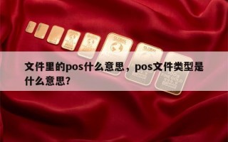 文件里的pos什么意思，pos文件类型是什么意思？