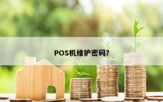 POS机维护密码？