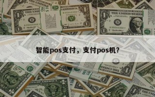 智能pos支付，支付pos机？