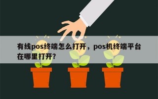 有线pos终端怎么打开，pos机终端平台在哪里打开？