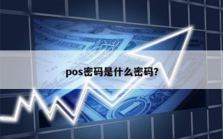 pos密码是什么密码？