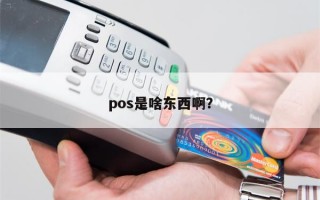 pos是啥东西啊？