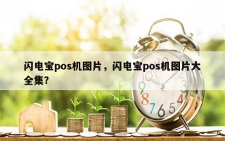 闪电宝pos机图片，闪电宝pos机图片大全集？