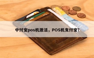 中付宝pos机激活，POS机支付宝？