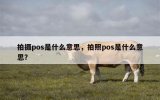 拍摄pos是什么意思，拍照pos是什么意思？