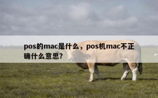 pos的mac是什么，pos机mac不正确什么意思？