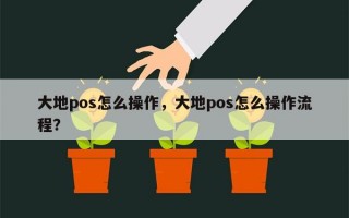 大地pos怎么操作，大地pos怎么操作流程？