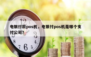 电银付款pos机，电银付pos机是哪个支付公司？