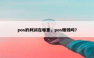 pos的利润在哪里，pos赚钱吗？