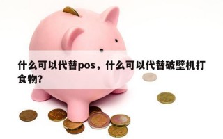 什么可以代替pos，什么可以代替破壁机打食物？