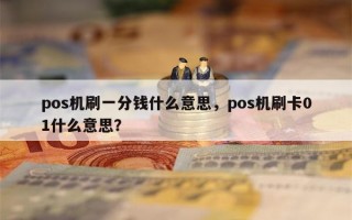 pos机刷一分钱什么意思，pos机刷卡01什么意思？