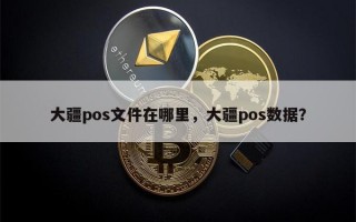 大疆pos文件在哪里，大疆pos数据？