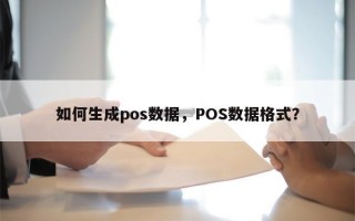 如何生成pos数据，POS数据格式？