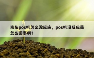 京东pos机怎么没反应，pos机没反应是怎么回事啊？