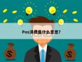 Pos消费是什么意思？