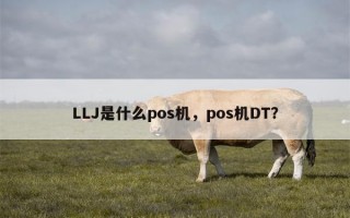 LLJ是什么pos机，pos机DT？