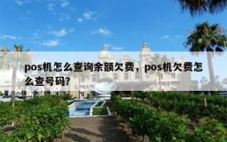 pos机怎么查询余额欠费，pos机欠费怎么查号码？