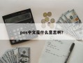 pos中文是什么意思啊？