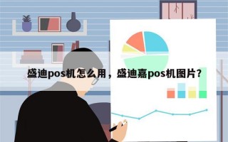 盛迪pos机怎么用，盛迪嘉pos机图片？