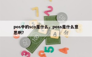 pos中的sco是什么，poss是什么意思啊？