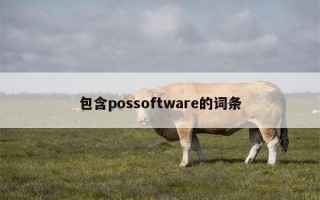 包含possoftware的词条