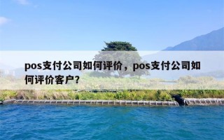 pos支付公司如何评价，pos支付公司如何评价客户？