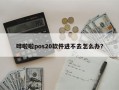 哗啦啦pos20软件进不去怎么办？