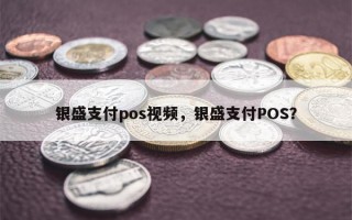 银盛支付pos视频，银盛支付POS？