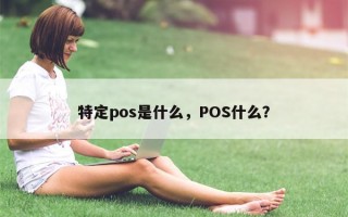 特定pos是什么，POS什么？