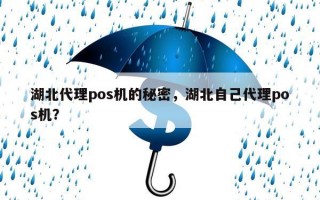 湖北代理pos机的秘密，湖北自己代理pos机？