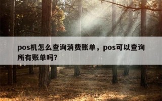 pos机怎么查询消费账单，pos可以查询所有账单吗？