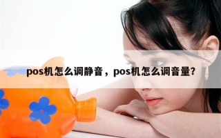 pos机怎么调静音，pos机怎么调音量？