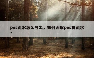 pos流水怎么导出，如何调取pos机流水？