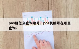 pos机怎么查询编号，pos机编号在哪里查询？