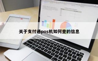 关于支付通pos机如何查的信息