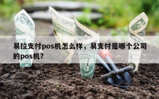 易拉支付pos机怎么样，易支付是哪个公司的pos机？