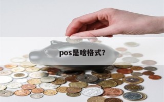 pos是啥格式？