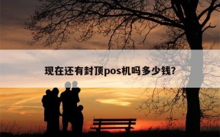 现在还有封顶pos机吗多少钱？