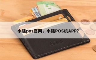 小陆pos官网，小陆POS机APP？