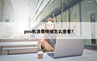 pos机消费明细怎么查看？