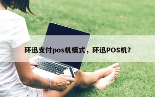 环迅支付pos机模式，环迅POS机？