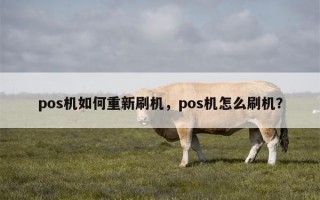 pos机如何重新刷机，pos机怎么刷机？