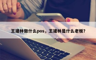 王建林做什么pos，王建林是什么老板？