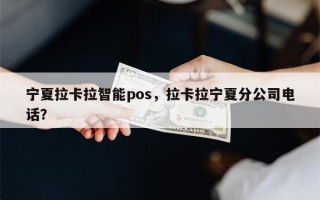 宁夏拉卡拉智能pos，拉卡拉宁夏分公司电话？