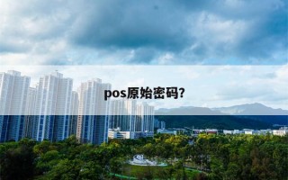 pos原始密码？