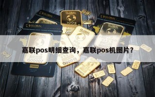 嘉联pos明细查询，嘉联pos机图片？