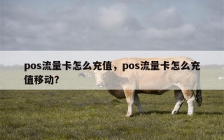 pos流量卡怎么充值，pos流量卡怎么充值移动？