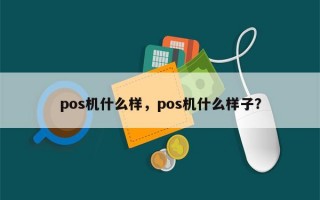 pos机什么样，pos机什么样子？