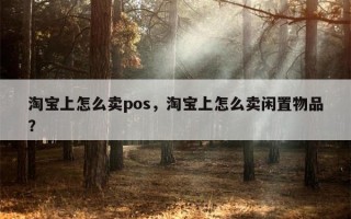 淘宝上怎么卖pos，淘宝上怎么卖闲置物品？