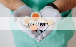 pos 03费率？